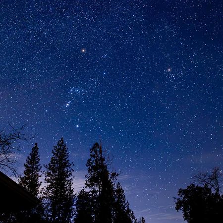 Mountain View, Near Yosemite & Bass Lake, Bbq, Fireplace,Evc Oakhurst Esterno foto